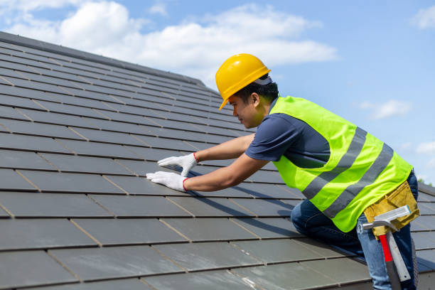 Best Sheet Metal Roofing  in Clinton, MI
