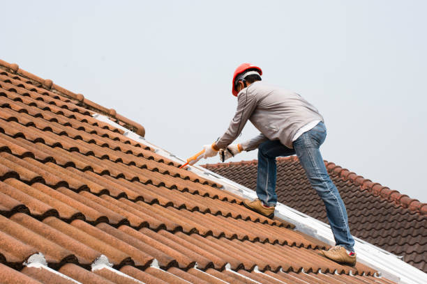 Best Tile Roofing Installation  in Clinton, MI