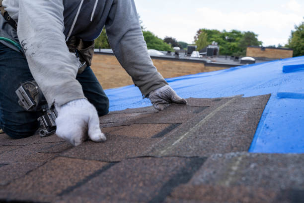 Best Metal Roofing Installation  in Clinton, MI