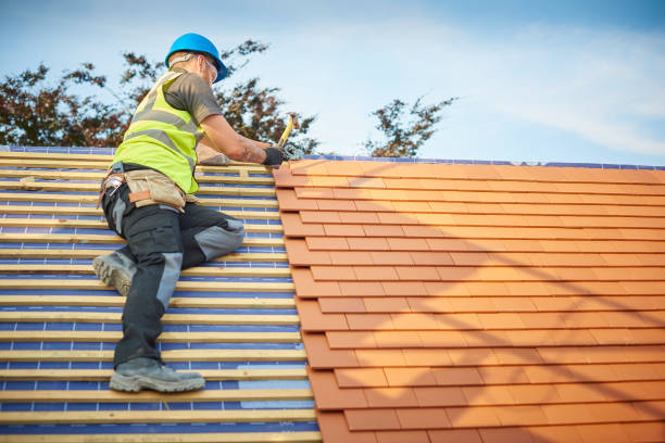 Best Cold Roofs  in Clinton, MI
